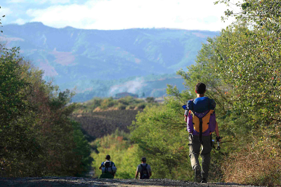 Via Francigena