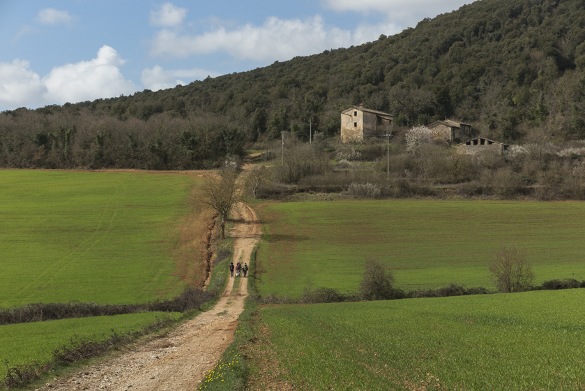 Foto di Simona Paleari, verso Monteriggioni