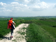 Via Francigena Lucca Siena