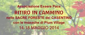 Ritiro in cammino nelle Sacre Foreste dek Casentino, con le monache di Plum Village: 14-18 maggio 2014