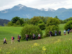 Cammino di San Vili