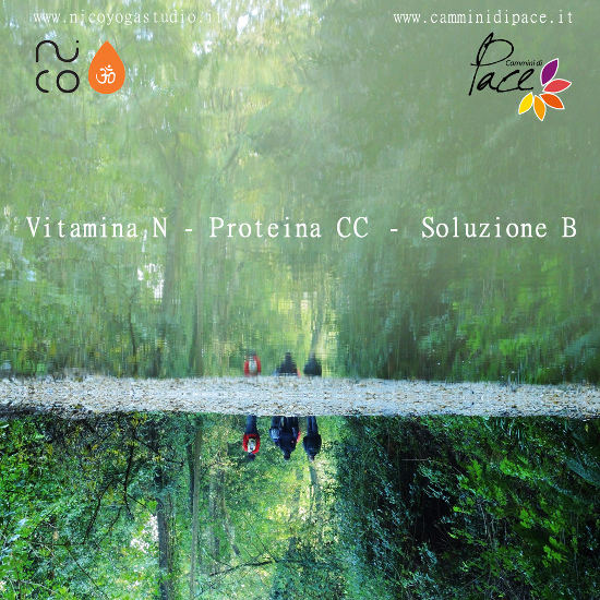 Vitamina N - Proteina CC - Soluzione B