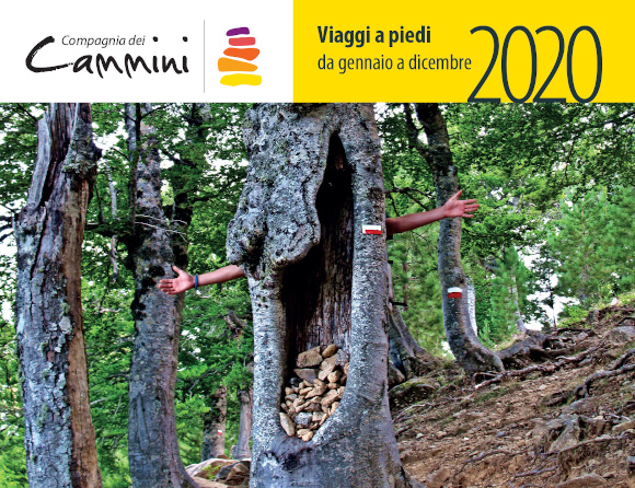 Copertina catalogo CdC 2020