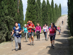 Via Francigena Senese - Foto Gianpero Picchi