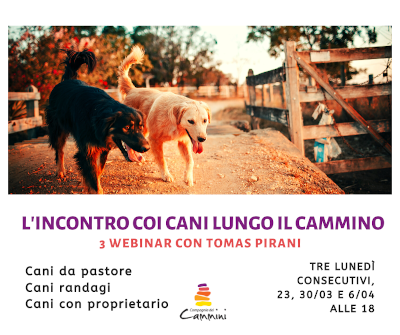 L’incontro con I cani lungo il cammino