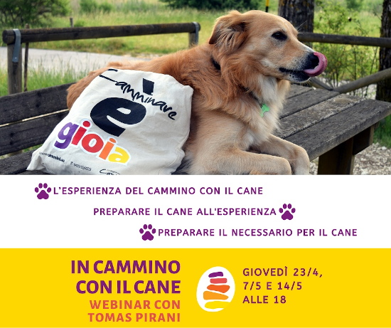 In cammino, con il cane