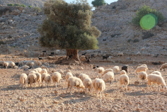 Creta