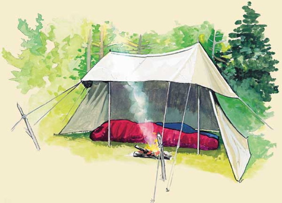 Tarp