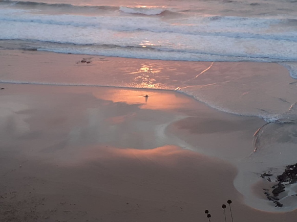 oceano