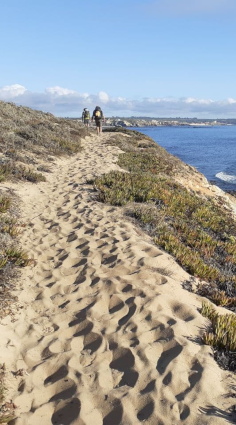 Rota Vicentina