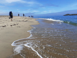 Rota Vicentina