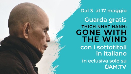 Guarda gratis: Thich Nhat Hanh, GONE WITH THE WIND, con i sottotitoli in italiano. In esclusiva solo su UAM.TV, dal 3 al 17 maggio