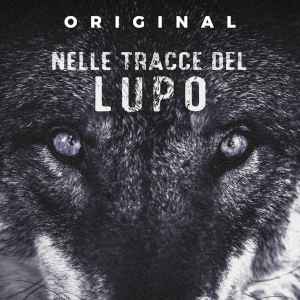 Original. Nelle tracce del lupo