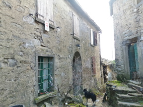 Chiapporato