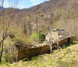 Chiapporato