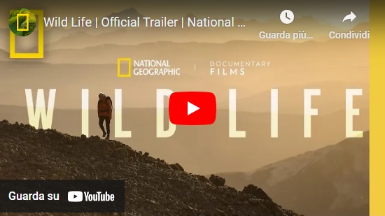 Trailer del film documentario "Wild Life: una storia d’amore" – National Geographic