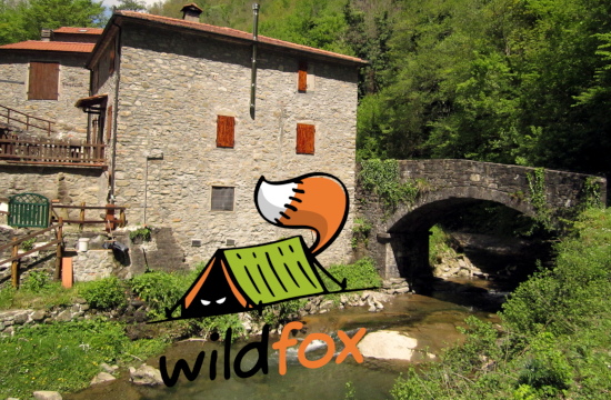 WildFox