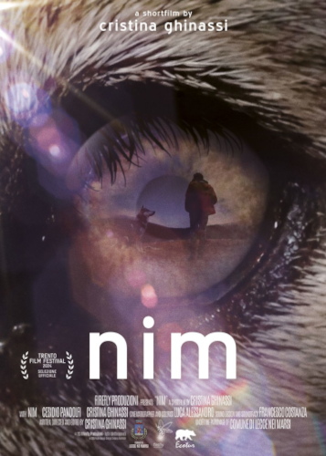 Nim. Trento Film Festival 2024 Selezione ufficiale. Un corto di Cristina Ghinassi.