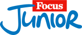 Focus junior