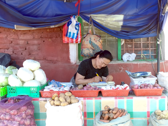 Mercato di Ulaangom