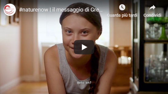 Video Greta Thunberg e George Monbiot