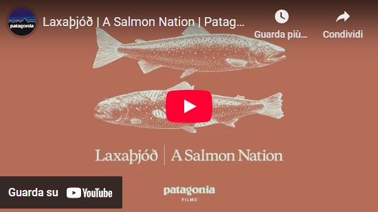 Video – Laxaþjóð | A Salmon Nation | Patagonia Films