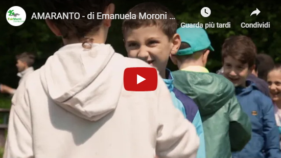 Video Amaranto