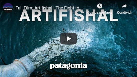 Video Artifishal - film completo con sottotitoli in italiano