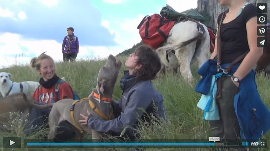 Video Asini e Cani Valle dei Gessi