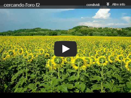 Canzone Branduardi, Cercando l'oro