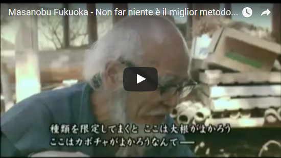 Video Masanobu Fukuoka - Non far niente è il miglior metodo agricolo