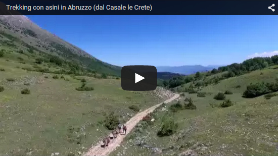 Video Trekking con asini in Abruzzo (dal Casale le Crete)